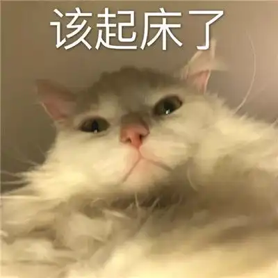 微信聊天表情包喝醉就不用愁了吗