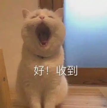 冷空气无缝衔接广州这回冻真格