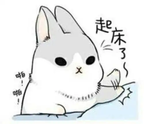 青春环游记2三亚完结篇春游家族爆笑选食材,展现家族团魂
