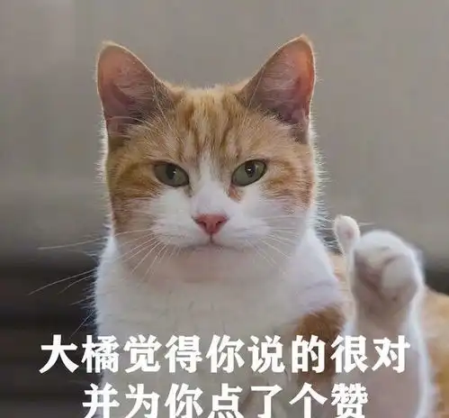 带我家猫去绝育,医生说猫蛋蛋太小那方面可能不太行