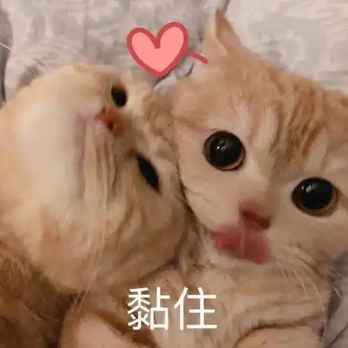 鹊说开学季福中医美食指南快收好