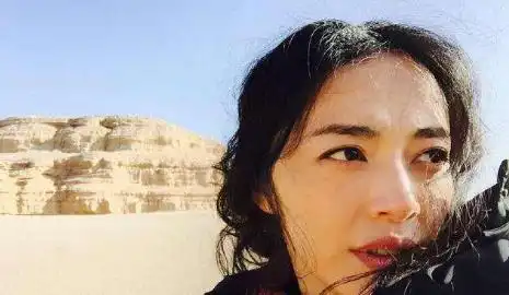 姚晨亲人不幸离世,悲痛欲绝,网友节哀顺变