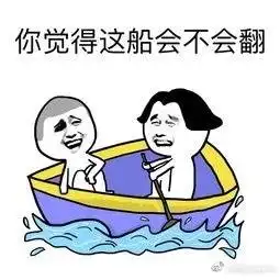 hhh宋祖儿是表情包本人没错了