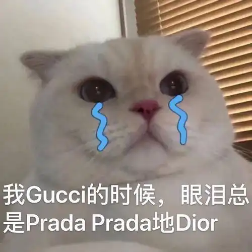 延期1年斩获73分,看不务正业的法专吉他手如何笑傲考场