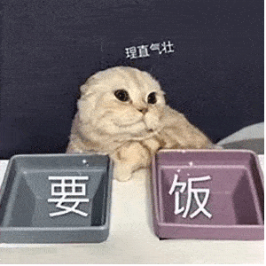 昨晚朋友圈都是熬夜的双十一定金人今年的双十一比往年来得要早一些
