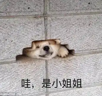 一组非常有趣的表情包你喜欢老子吗不,我更爱墨子