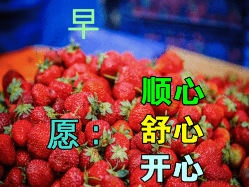 早上好有思念才牵挂