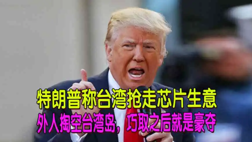 老狼讲普洱茶是真的吗还是假的询问老狼关于普洱茶真假的说法
