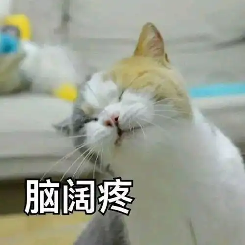 可爱的斗图表情包合集超级开心