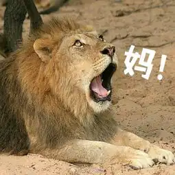 鱼表情包