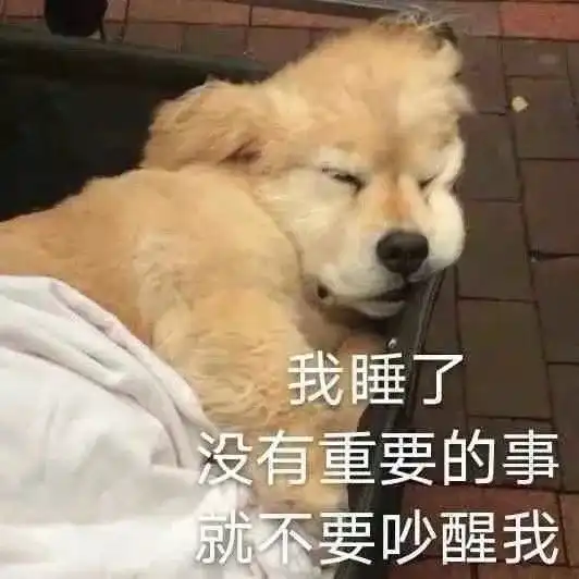 12.11抖音热门表情包