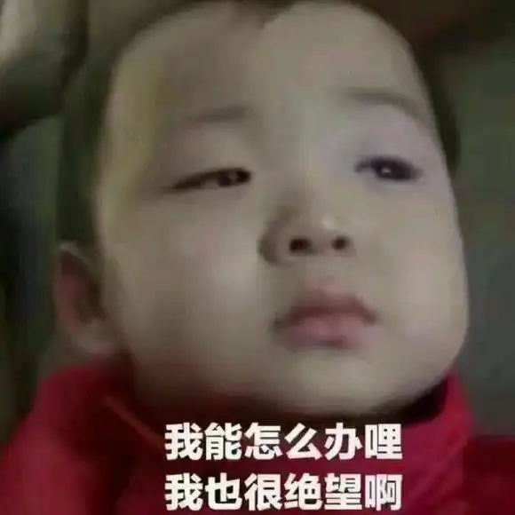 大家好,这是我的2017年终总结扎心版