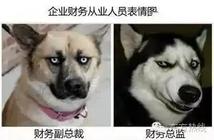 7125元宁波月薪全国第8,万万没想到月薪最高的行业是