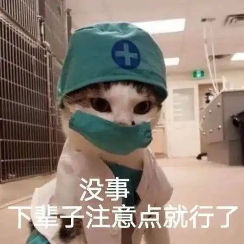 股市段子炒股就像一个人拿着骨头逗小狗