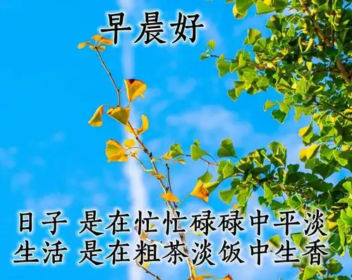 美好的早上好动态祝福图片朋友间问候的动态表情包