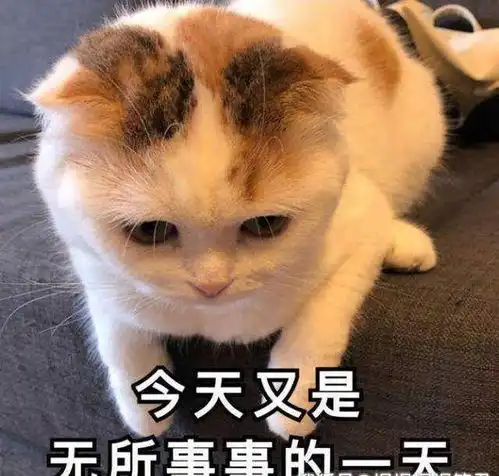 搞笑段子称重时将鞋提在手里与穿在脚上有区别吗
