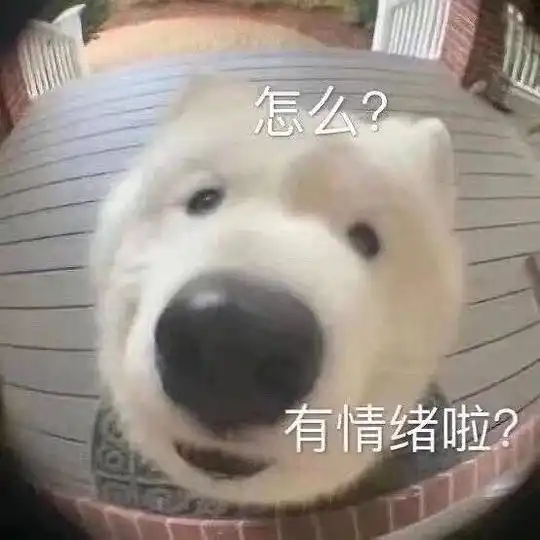 52hz的相册沙雕表情包