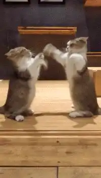 姑娘,赶紧回家穿条裤子再出门