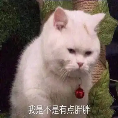 最经典暴走表情包合集