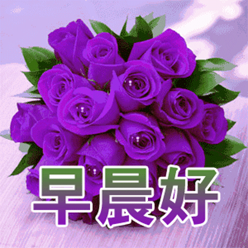 动态唯美表情包经典语句