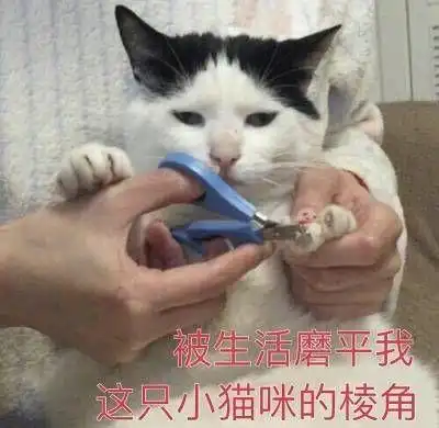 东北人,第一次离开家去上海工作,因为身体比较弱,来了一周水土不服一直胃疼瑟瑟发抖,我应该继续坚持吗