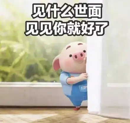 斗图表情包猪抱抱