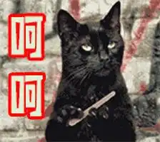 这个世界对胖子到底有多残忍