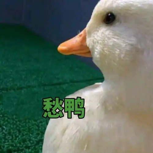 超省钱diy申请做好这几步,狂省五万中介费