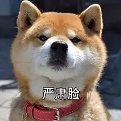 期待更好的你,绽放精彩的我