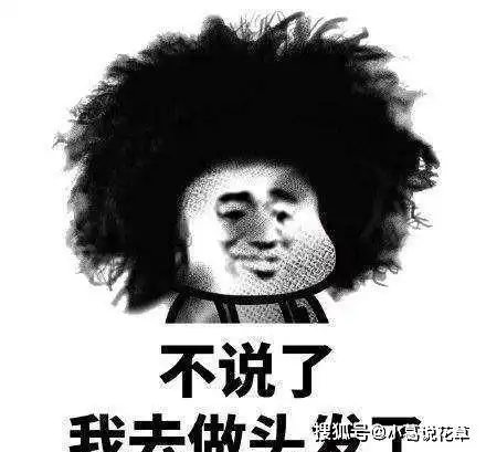 烦躁抓头发表情包吹干