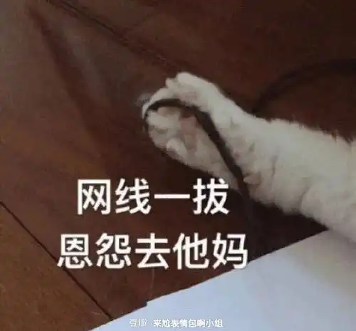 今天满满的虾