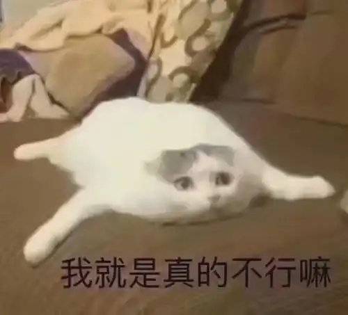 送你最新表情包图片,别生气了