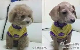 不知道发型对我来说很重要么