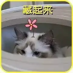 没成为中国锦鲤没关系,这波表情包来安慰你
