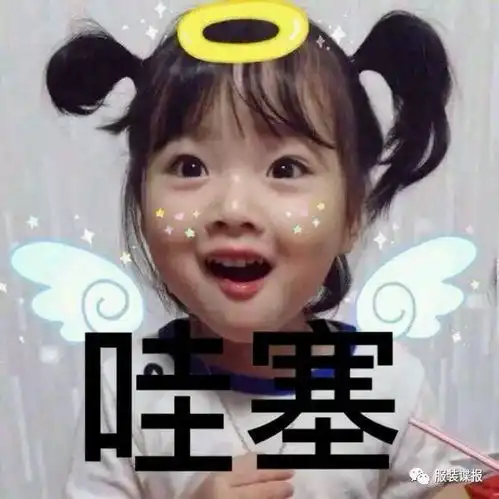 花痴的表情包直视
