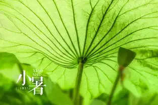 被多云和阵性降雨承包,有点儿闷热