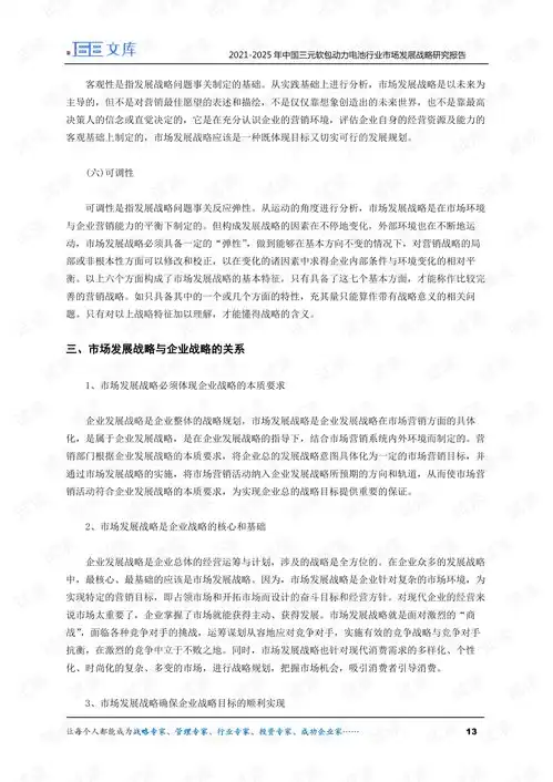20212025年中国三元软包动力电池行业市场发展战略研究报告.pdf