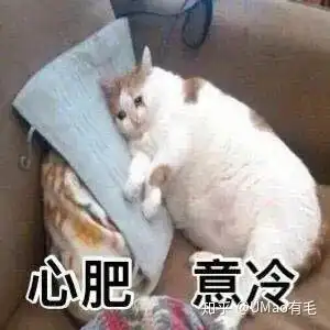 同样是养猫,为啥我家辣么臭,而你家是香的