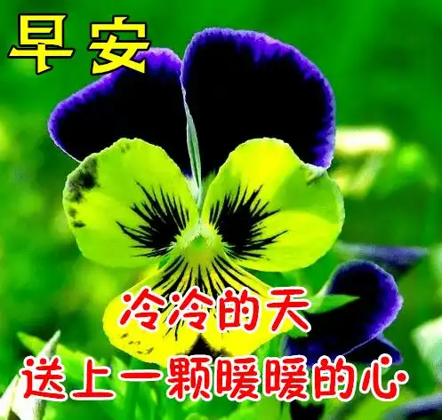 10月16日最漂亮早上好动态表情图片大全,秋天早安问候美图大全