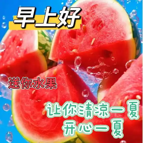 晚上好表情包,晚上好图片,晚上好问候