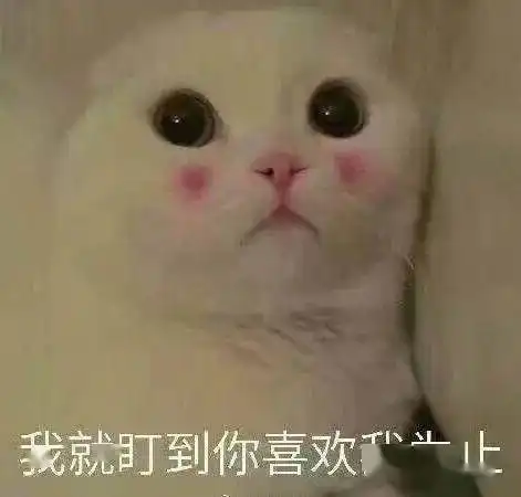 玩家攻略丨6技能酒仙小熊猫该如何培养一起来看看这份新宠物培养推荐吧