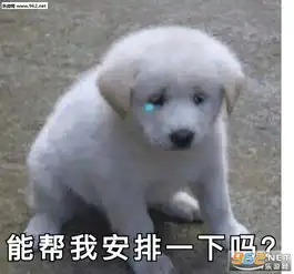 苍天鸭表情包图片甜蜜双排吗爱你哦表情包下载乐游网游戏下载