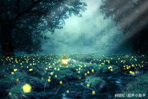你会在夜间睡眠时突然尖叫坐起吗