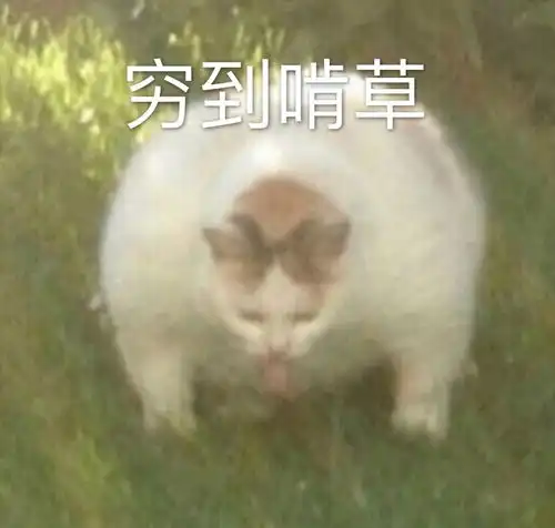 说起涂指甲油,大家觉得底油和顶油有必要买吗
