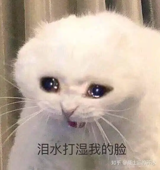 猿辅导面试经历