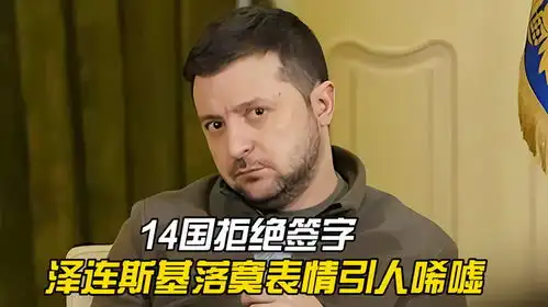14国拒绝签字,泽连斯基落寞表情引人唏嘘